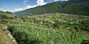 valtellina -maggio