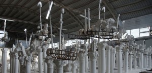 Gustavo Aceves - lapidarium