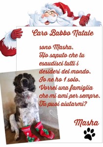 Masha