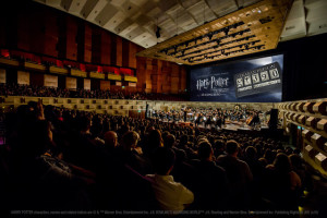 Harry Potter in concert