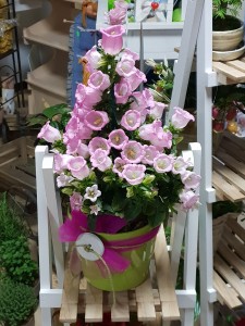 La Cascina dei fiori