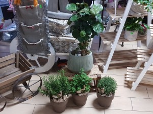 La Cascina dei fiori