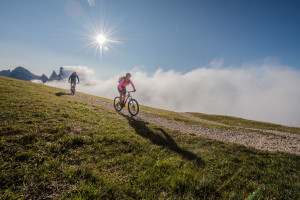 mountain bike