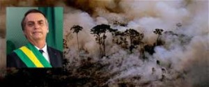 Brasile: Amazzonia in fiamme