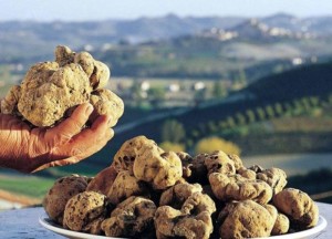 Fiera nazionale del tartufo