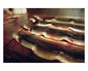 Mostra chef rubio