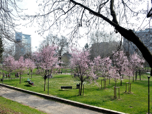 Parco Monte Stella