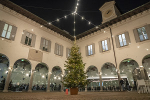 albero natale OR MasiarPasquali