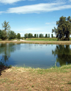 Parco Vettabbia