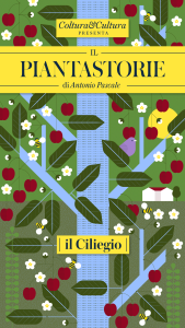 02 ciliegio_Tavola disegno 1 copia 2
