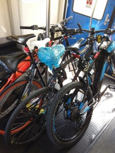 Bici a bordo treno