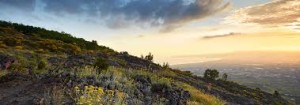 GAL Vesuvio Verde