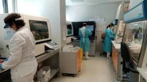 Laboratorio di microbiologia e virologia