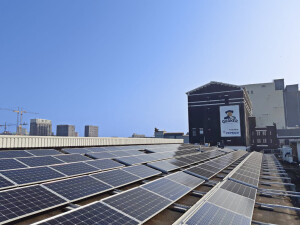 Rotterdam, Netherlands Solar Panels