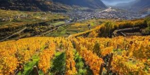 Valtellina