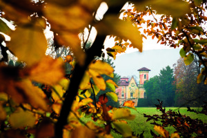Il parco_vista dal prato cetrale
