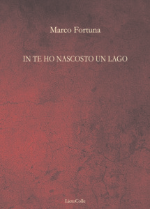 Marco Fortuna In te ho nascosto un lago copertinapiatta
