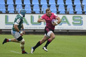 Zebre_Bayonne_Bisegni
