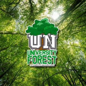 cover - La foresta universitaria