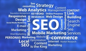 SEO Leader