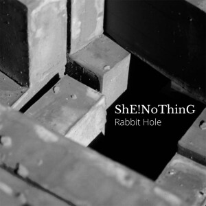 ShENoThinGRabbitHoleCOVERweb