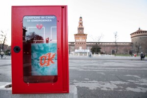 Gazzelle_cassetta Castello Sforzesco a Milano