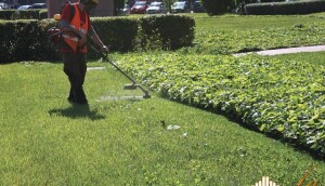 Manutenzione verde