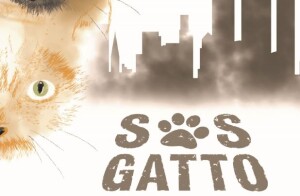 SOS-Gatto222-1