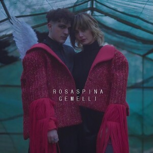 cover_rosaspina_gemelli