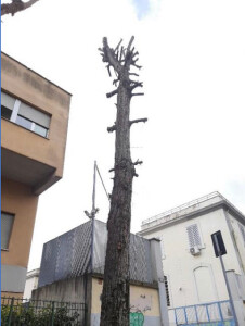 foto_1 (1)