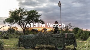 Wildlife Watch_1